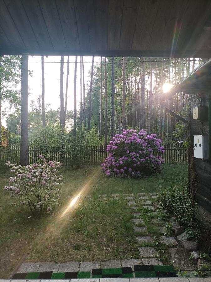 Fantastyczny Dom W Lesie * Dlugosiodlo