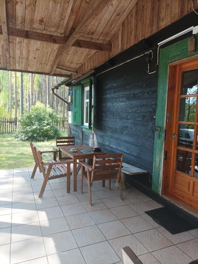 Fantastyczny Dom W Lesie Holiday home