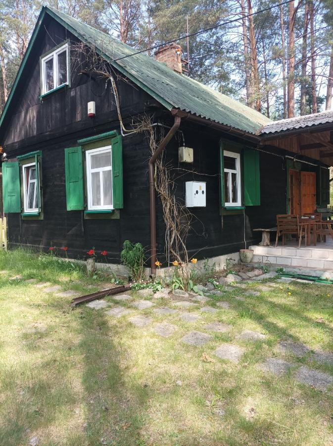 Fantastyczny W Lesie *